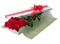Elegantly Boxed Roses