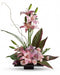 Imagination Blooms With Cymbidium Orchids
