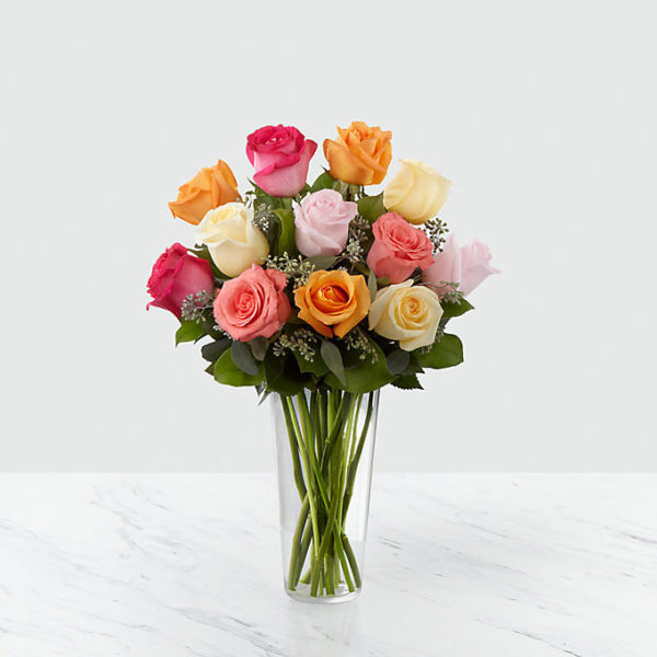 12 Multi Coloured Roses