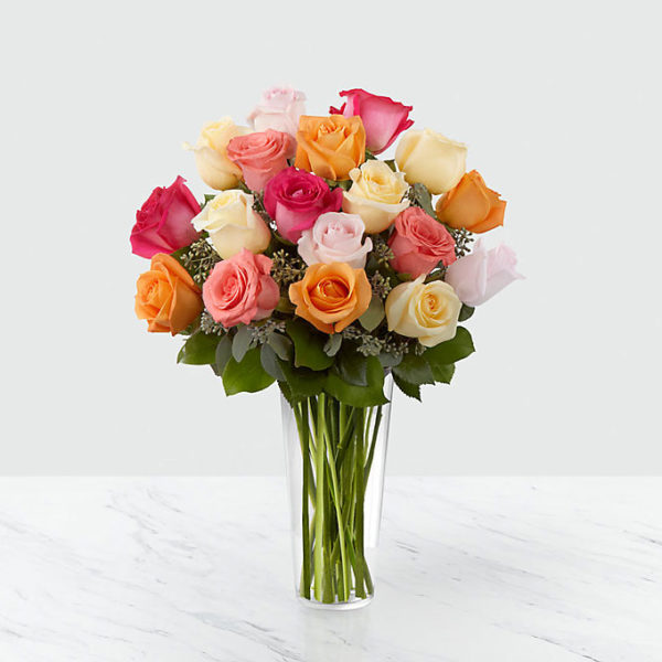 18 Multi Coloured Roses