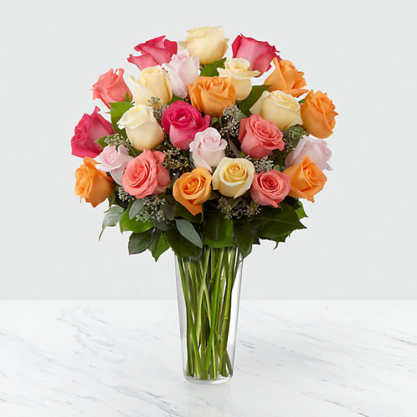 24 Multi Coloured Roses