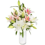 Pink and White Lilies