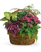 Secret Garden Basket