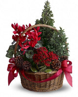 Tannenbaum Basket