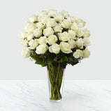 36 White Roses