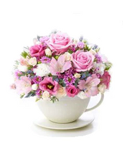 Collection image for: Mother's Day