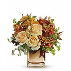 Collection image for: Fall